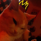 dimjangle thumbnail