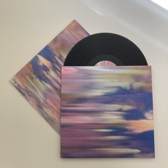 The Side I Never See [LP] レコード The Side I Never See | Hugh Small & Brian Allen Simon | Melody As