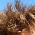 Gorship thumbnail