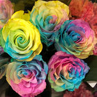 violet_rain3 thumbnail