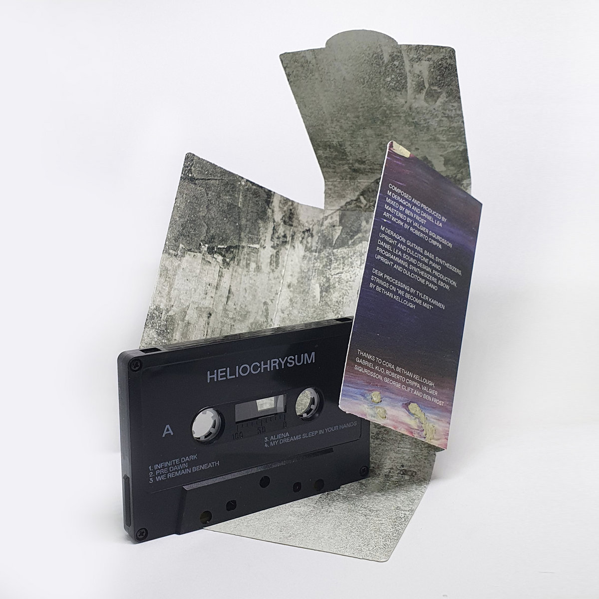 Heliochrysum Heliochrysum