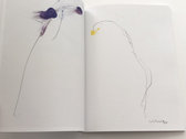 Loren Connors - "Wildweeds" Book photo 