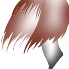 nolleft thumbnail