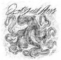 Octopus Press image