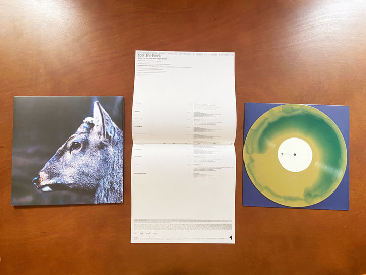 the book about my idle plot on a vague anxiety | toe