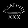 Palatinus image