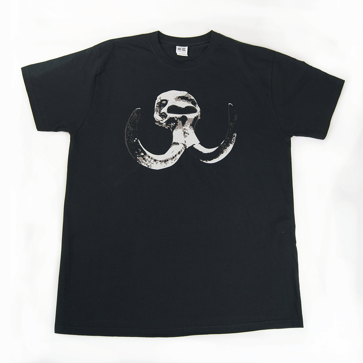 The Sole Destroyer Deceaded