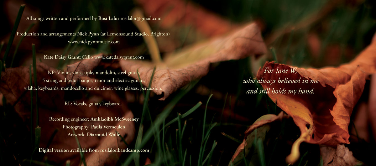 Strange Little Smile Rosi Lalor