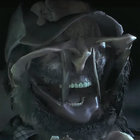 Jabroni Walrus thumbnail