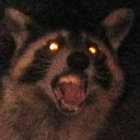 midnightmaraudersprogram thumbnail