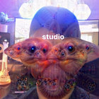 In My Dreamz Champagne Drip Feat Linney Wakaan