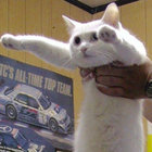 robert_robert99 thumbnail