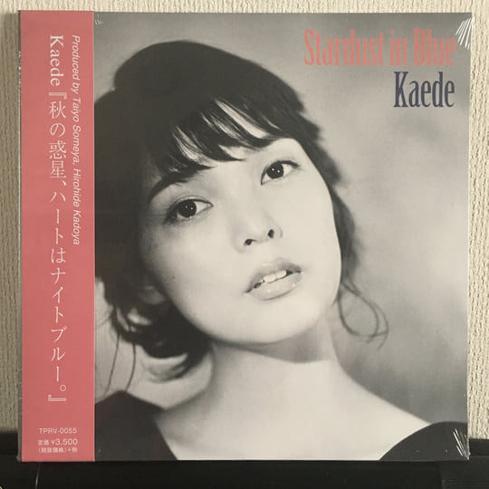 Stardust In Blue | Kaede | Botanical House