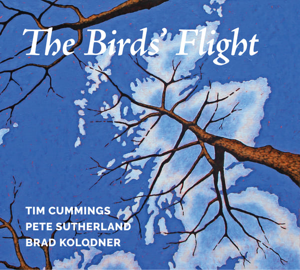 The Birds' Flight | Tim Cummings, Pete Sutherland, Brad Kolodner