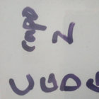 choochtown thumbnail