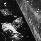 plasticredfern thumbnail