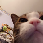 sobaba thumbnail