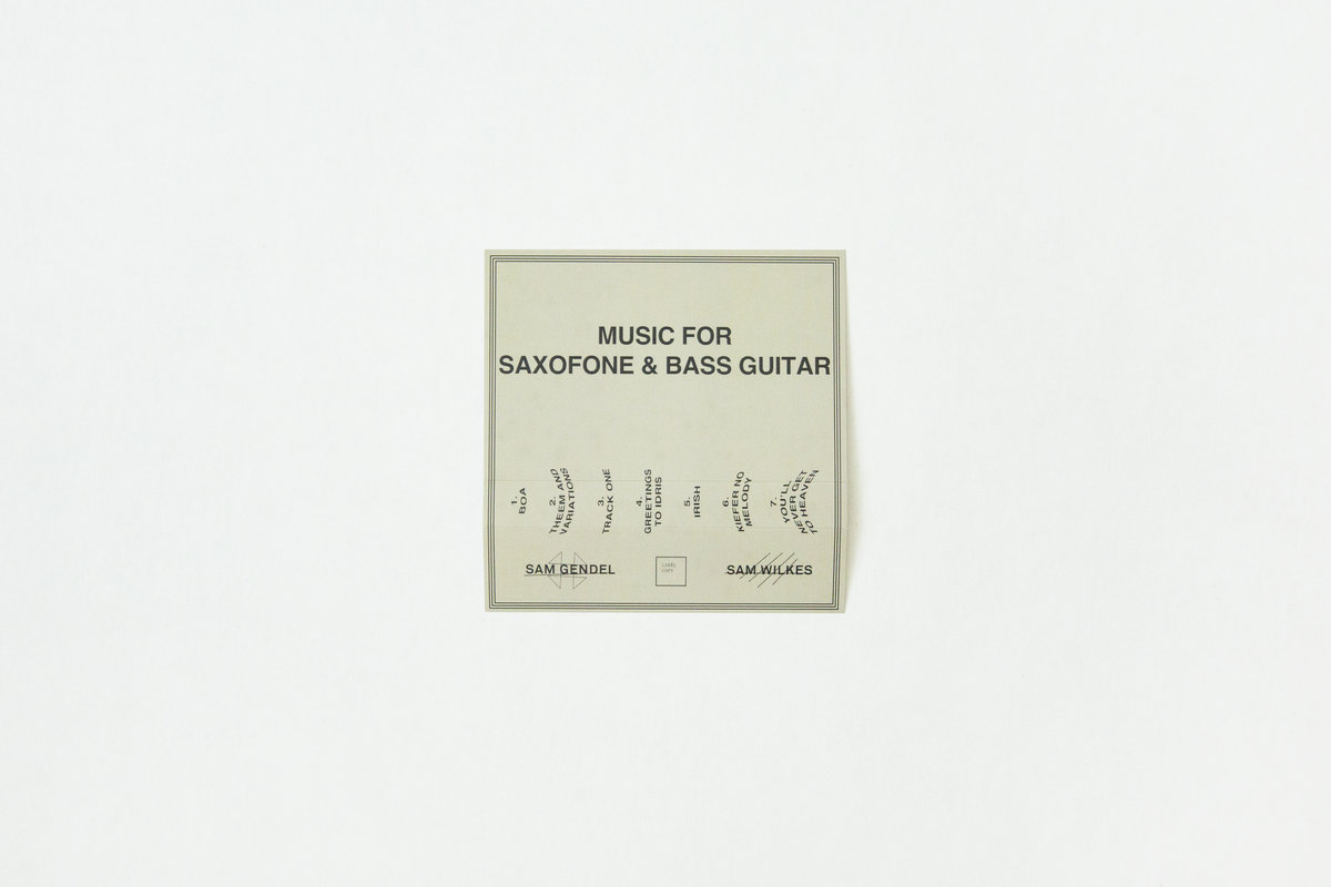 Music for Saxofone and Bass Guitar | Sam Gendel and Sam Wilkes 