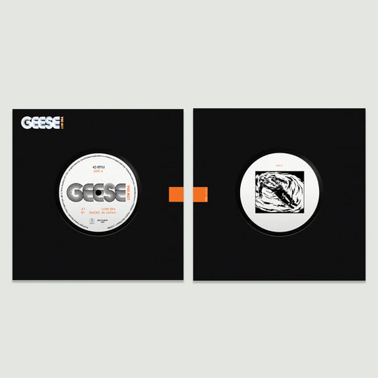 Low Era | Geese