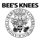 thebeeskneeskobe thumbnail