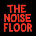 The Noise Floor image