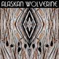 Alaskan Wolverine image
