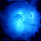 Immersound thumbnail