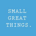 Small Great Things. image