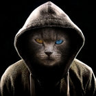 Cool Cat thumbnail