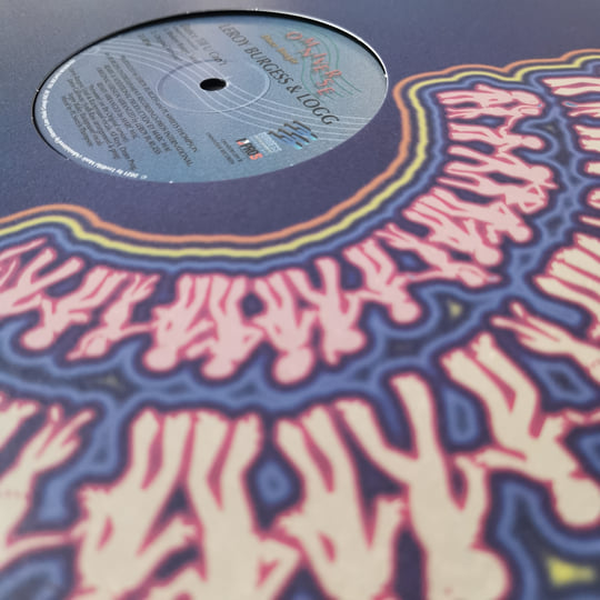 Dance Till U Can't | Leroy Burgess & LOGG | Omniverse Records