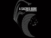 "A Sacred Bore" T-Shirt photo 