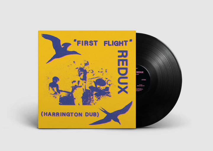 First Flight REDUX (Harrington Dub) | Dave Harrington (ft. Chris