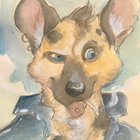 bark_park thumbnail