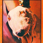 novembercrust thumbnail
