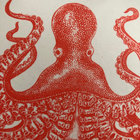 Gavin Brown thumbnail