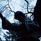 Epitaphius thumbnail
