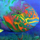 clover thumbnail