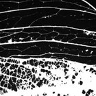 Biiom thumbnail