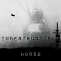 Indestructible Horse image