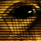feitzelnose thumbnail