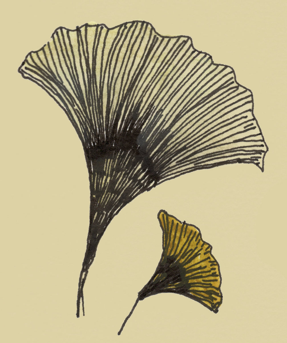 My Image 68