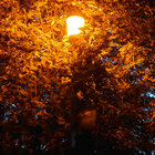 samhaineve thumbnail
