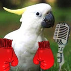 jenny barnes thumbnail