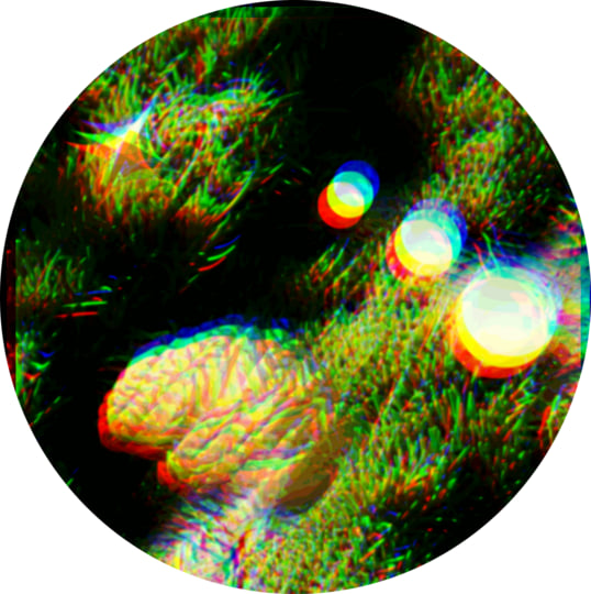 Psy-fi Sounds Vol.2 | Various Artists | Test of Time