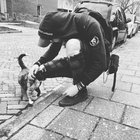 Sander Krijstman thumbnail