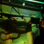 lay_z thumbnail