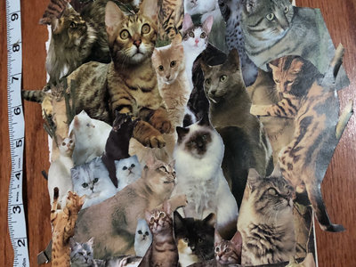 Original Collage Art: Cats Remix Series for Tabs Out (14 pcs) main photo