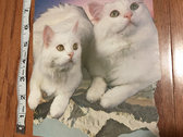 Original Collage Art: Cats Remix Series for Tabs Out (14 pcs) photo 