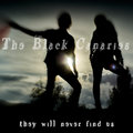 The Black Canaries image
