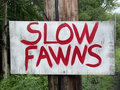 Slow Fawns image